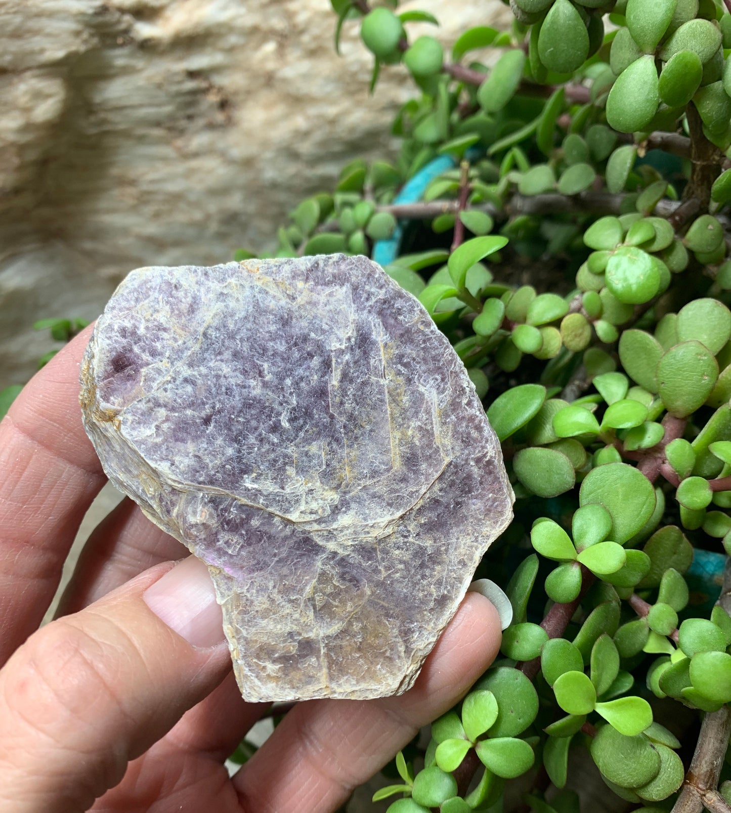 Lepidolite Stone         CRY-0567