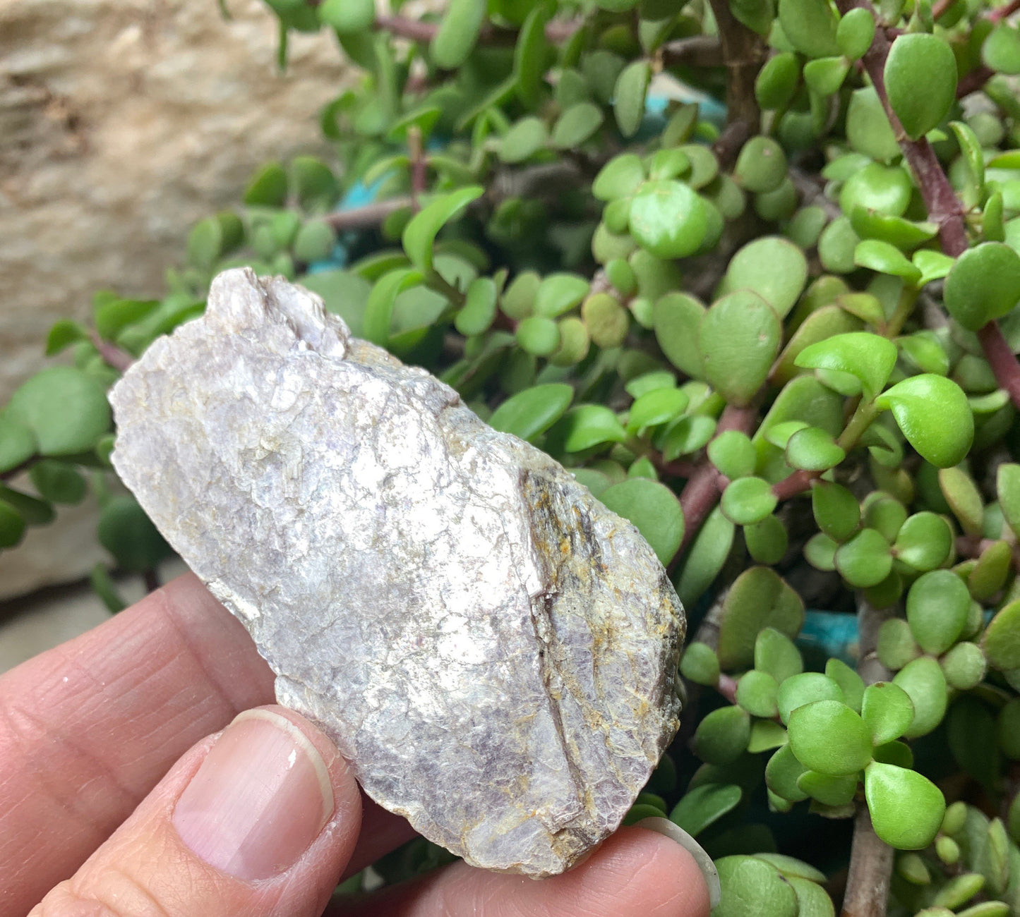 Lepidolite Stone         CRY-0562