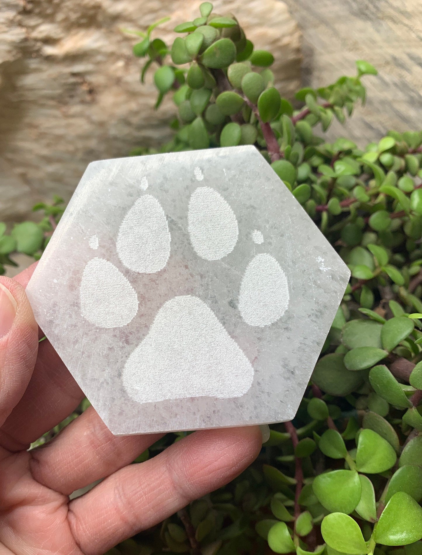 Etched Paw Print Selenite SEI-0146