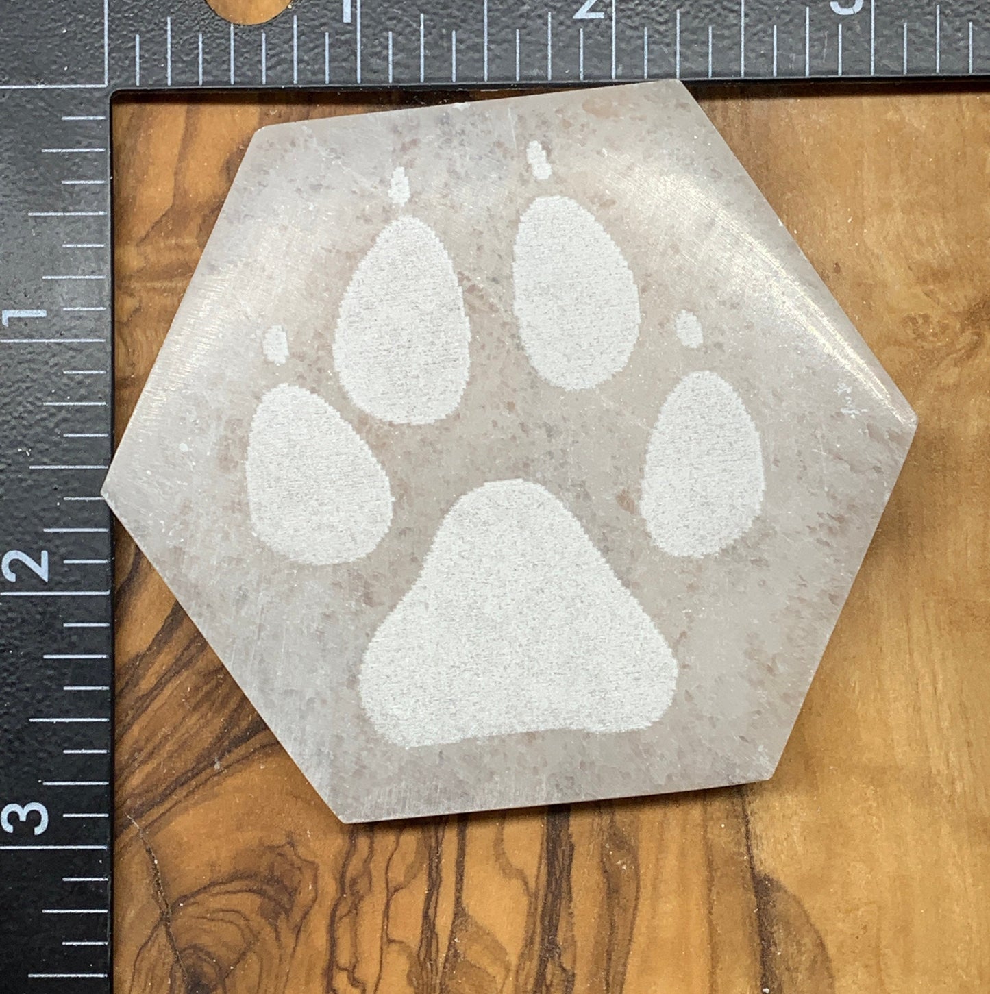 Etched Paw Print Selenite SEI-0146