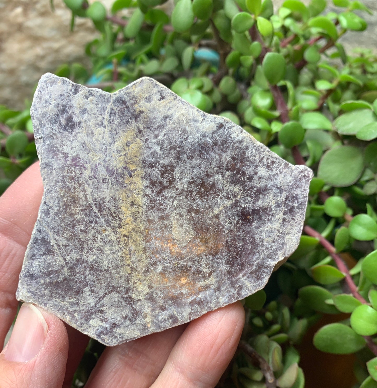 Lepidolite Stone         CRY-0553