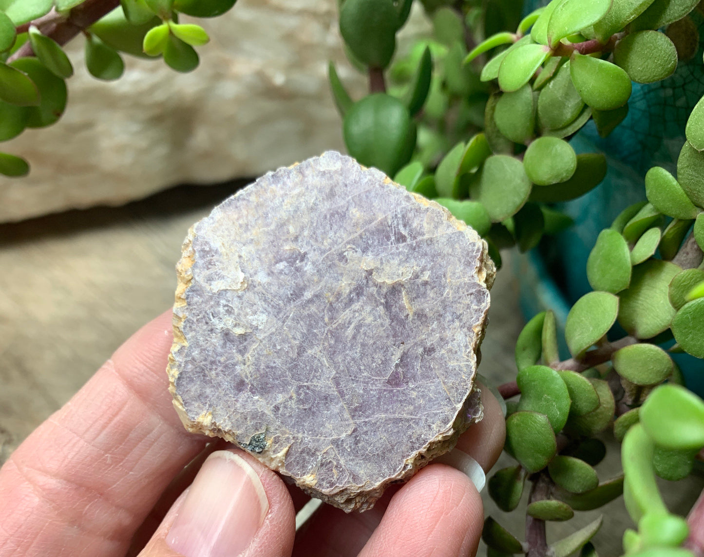 Lepidolite Stone         CRY-0547