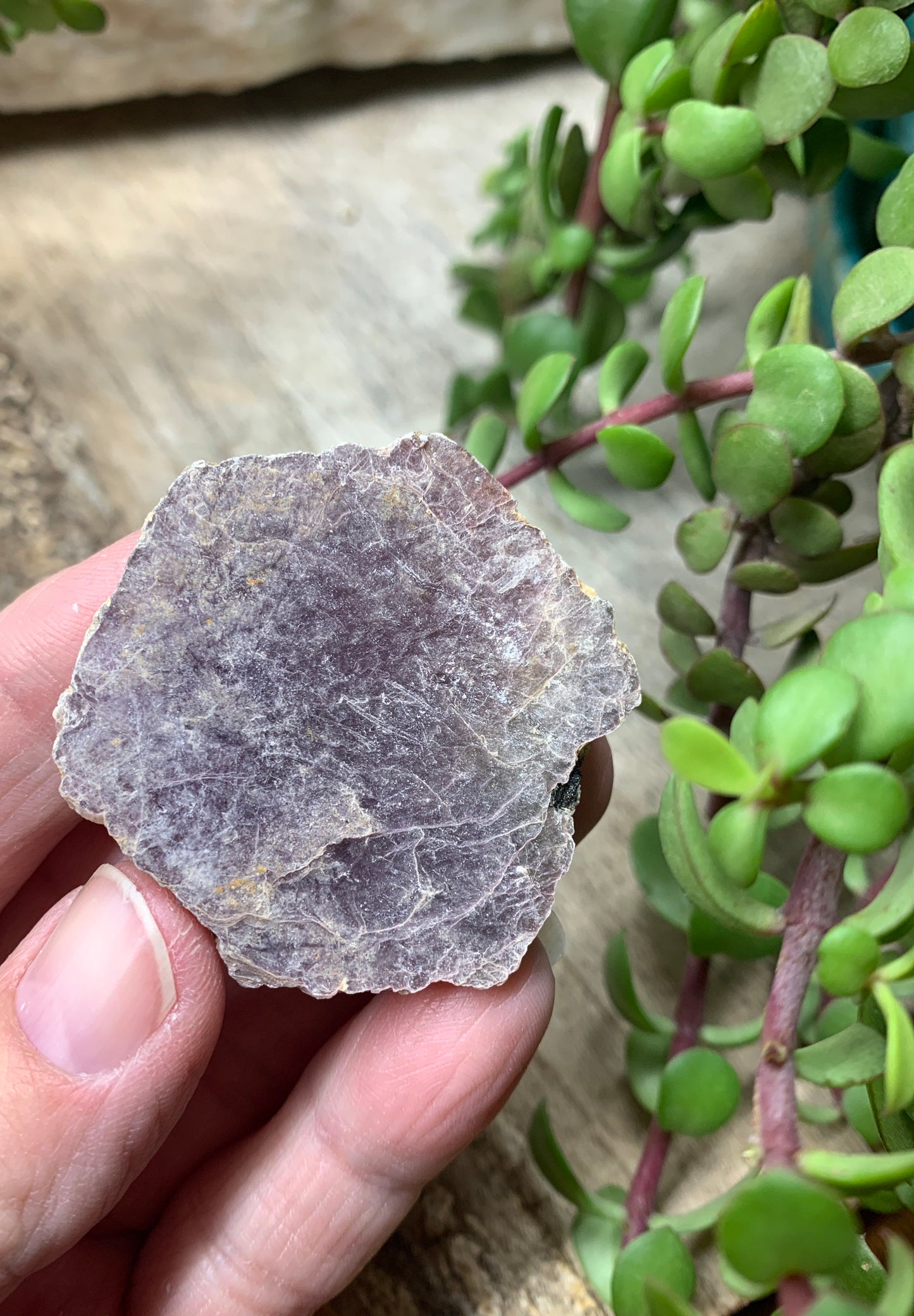 Lepidolite Stone         CRY-0547