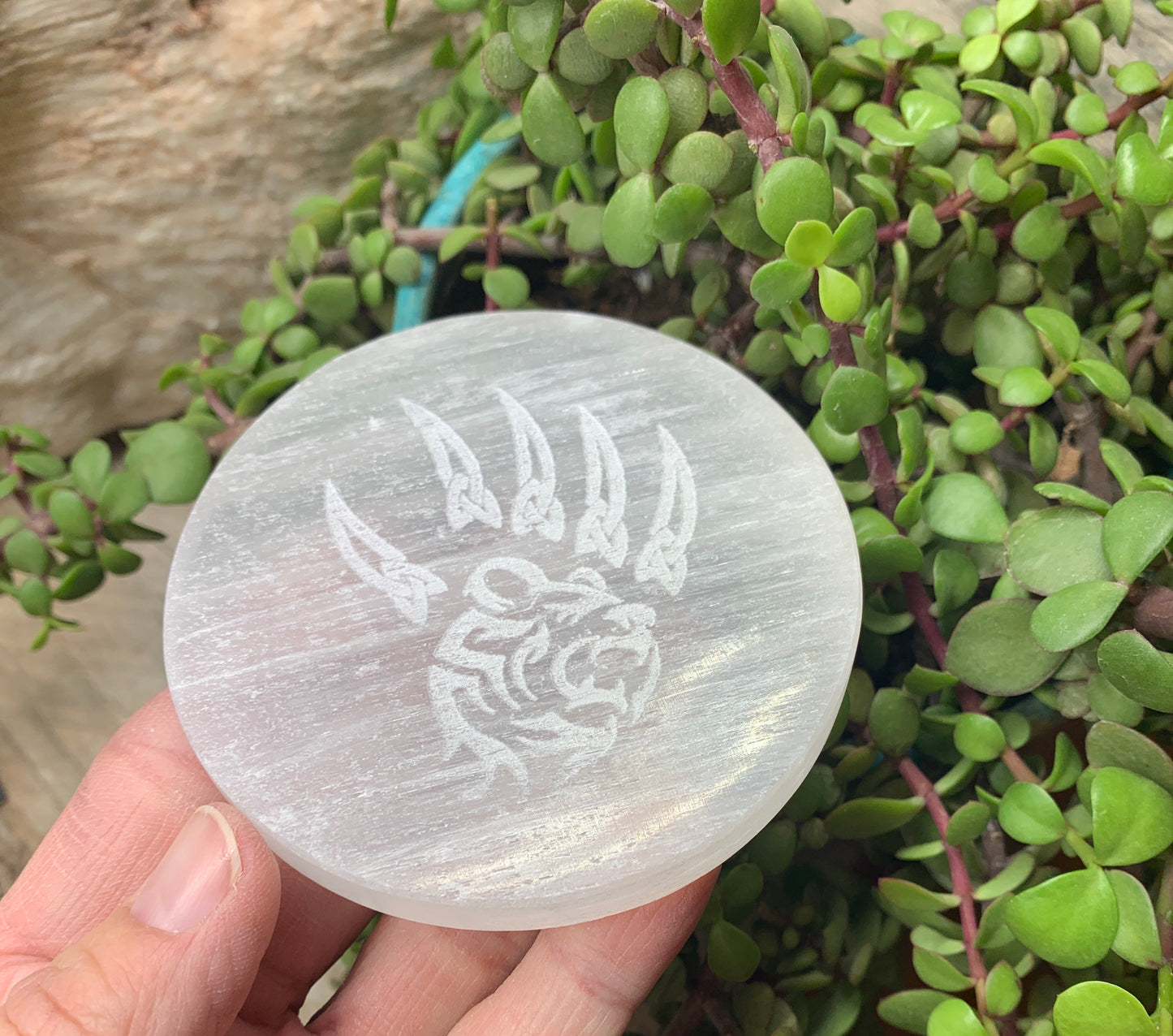 Claw Etched Selenite SEI-0121