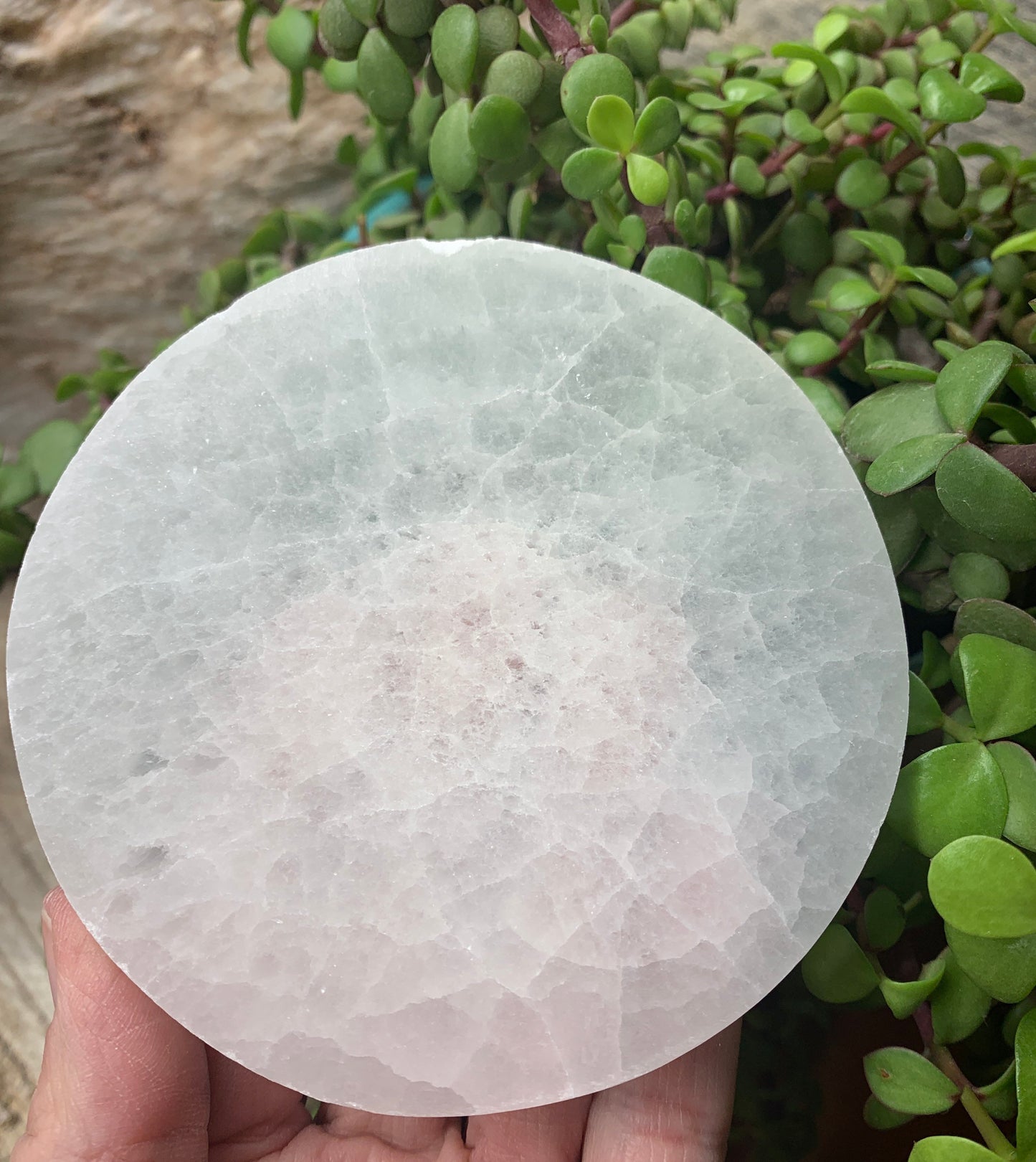 Sacred Geometry Etched Selenite SEI-0089