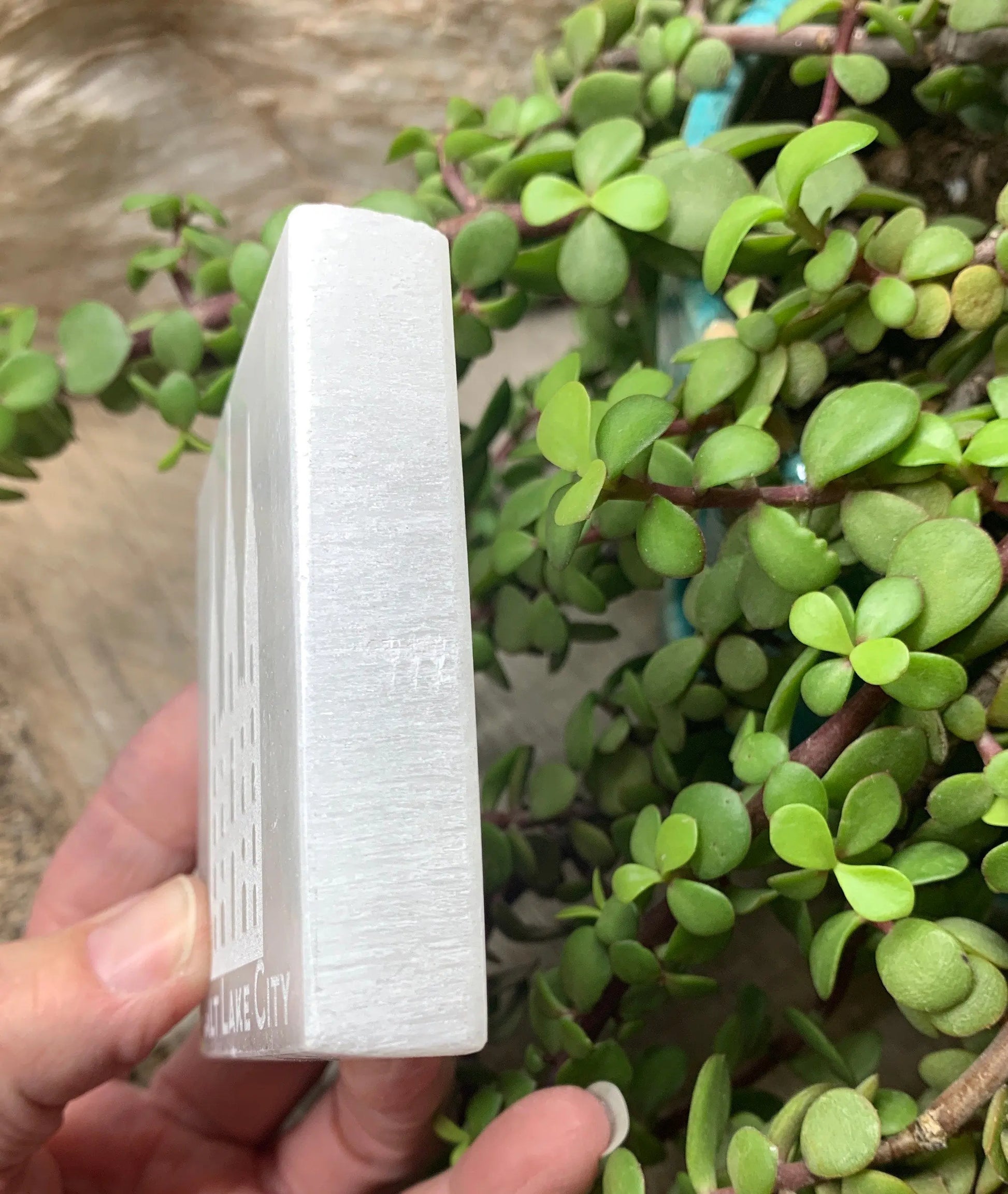 Salt Lake City Temple Etched Selenite SEI-0220 Shop Wholesale Crystals