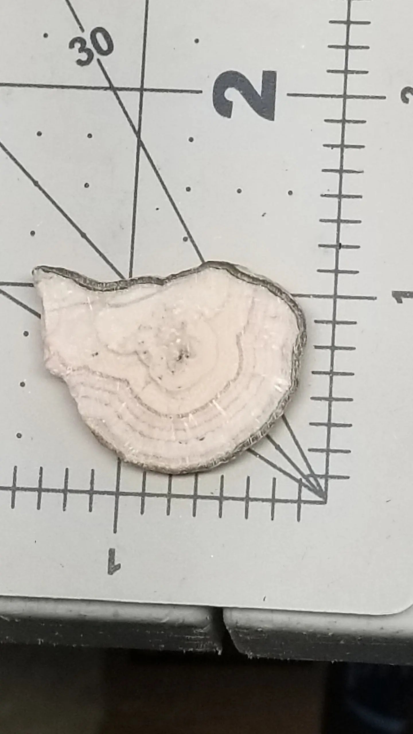 Rhodochrosite Raw Slab, For cabbing or wire wrap pendant necklace SLA-0025 Shop Wholesale Crystals