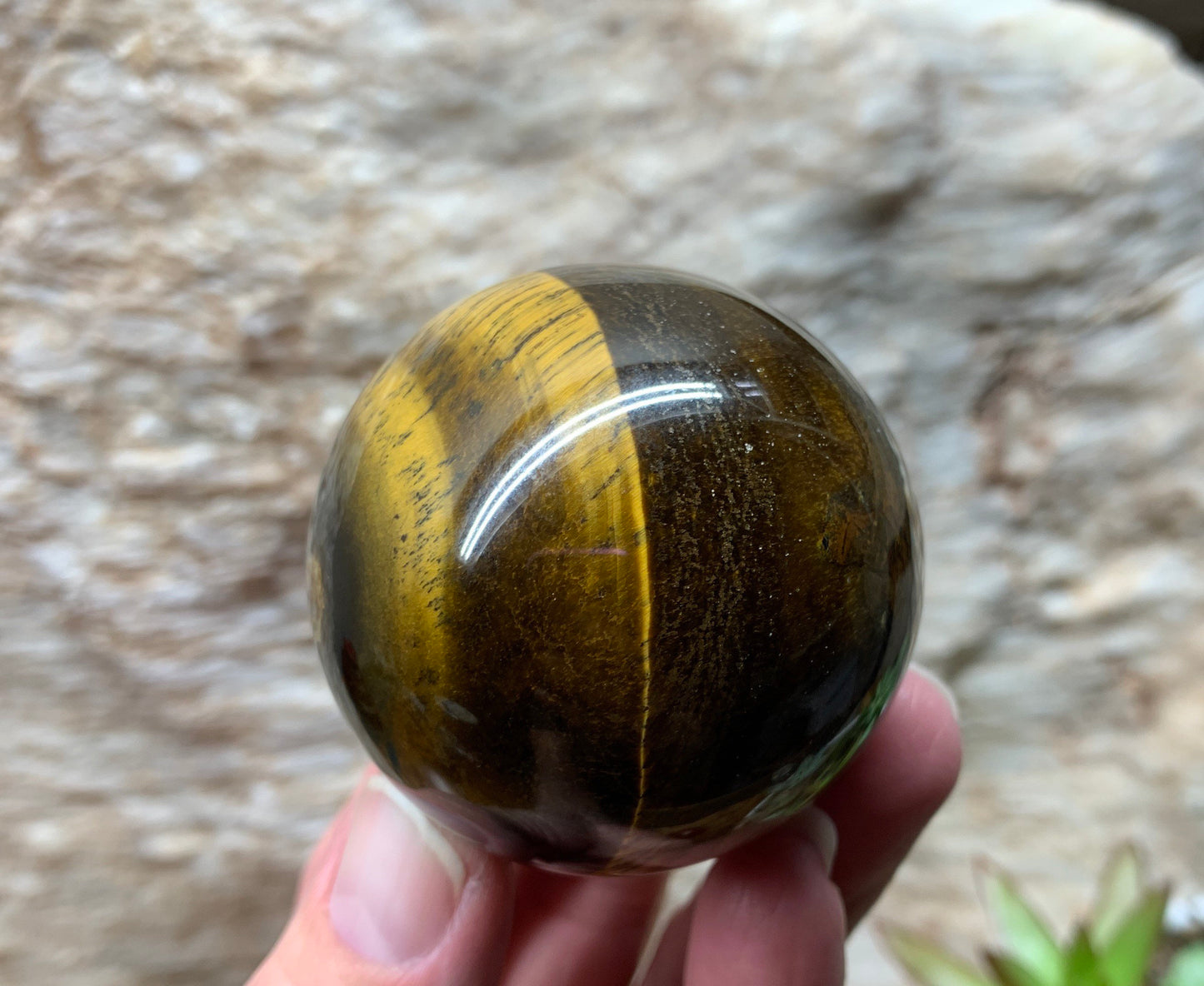 Tigers Eye Sphere        SPH-0254