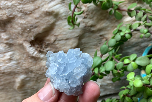 Natural Celestite Crystal      CRY-0629