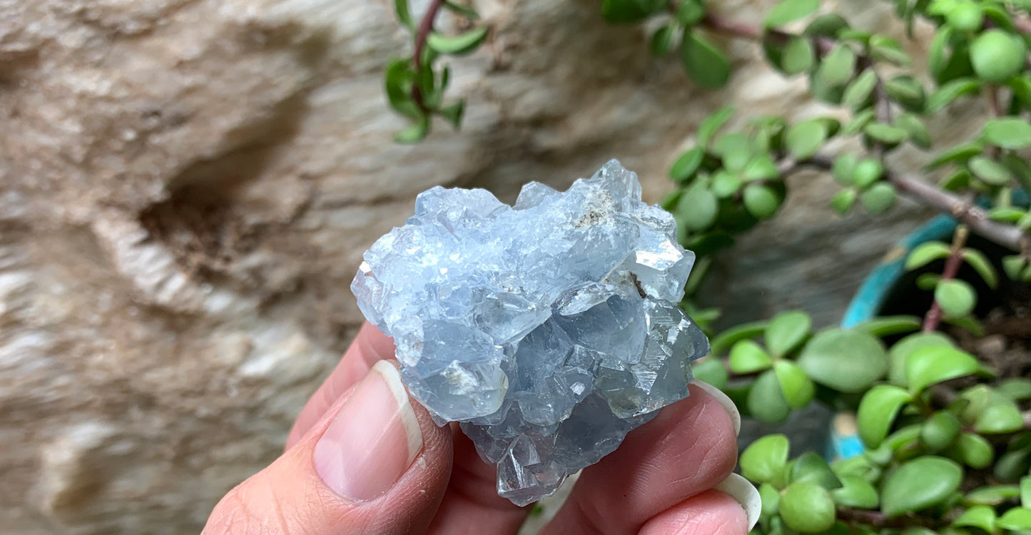 Natural Celestite Crystal      CRY-0629