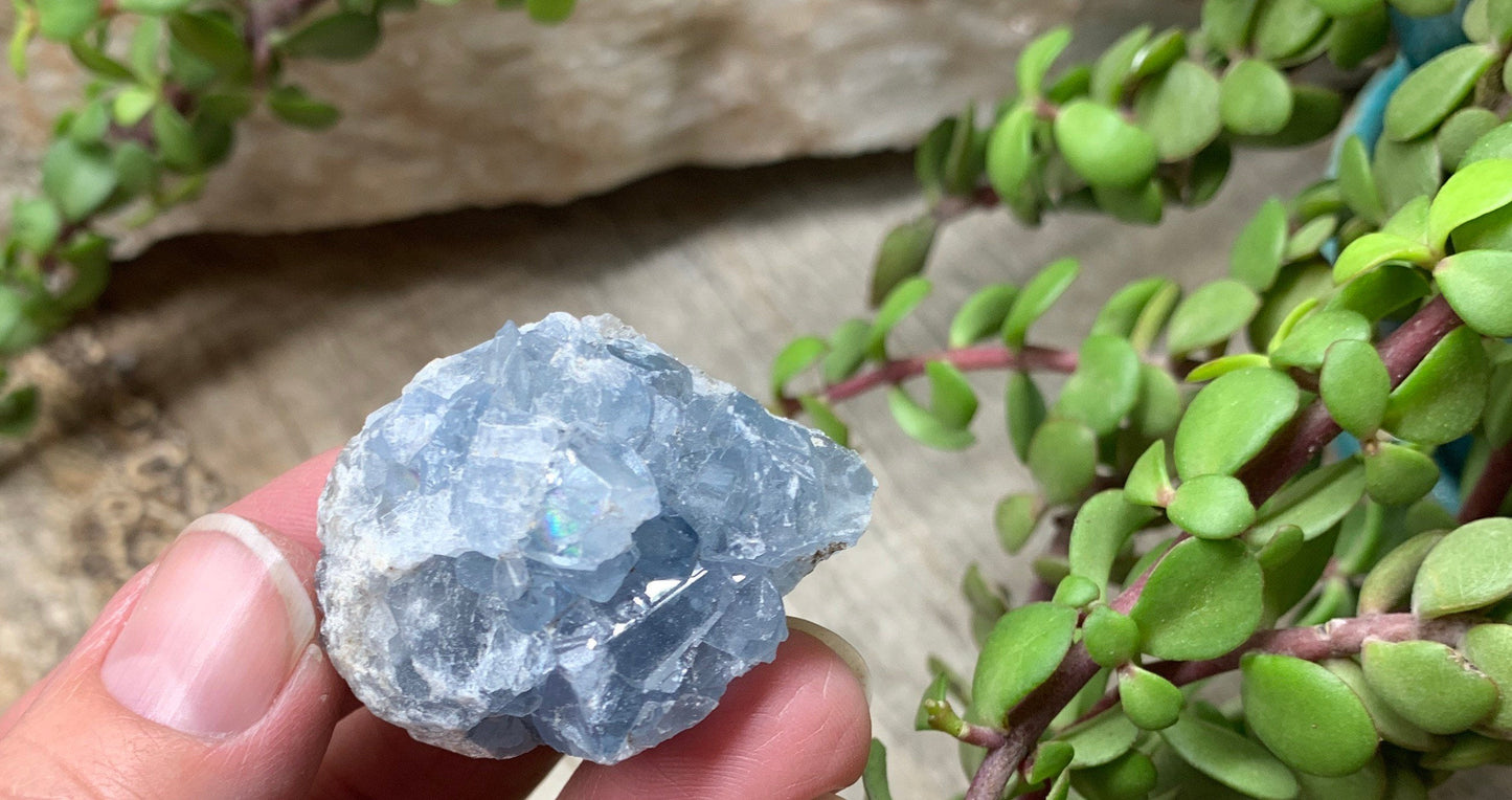 Natural Celestite Crystal      CRY-0609