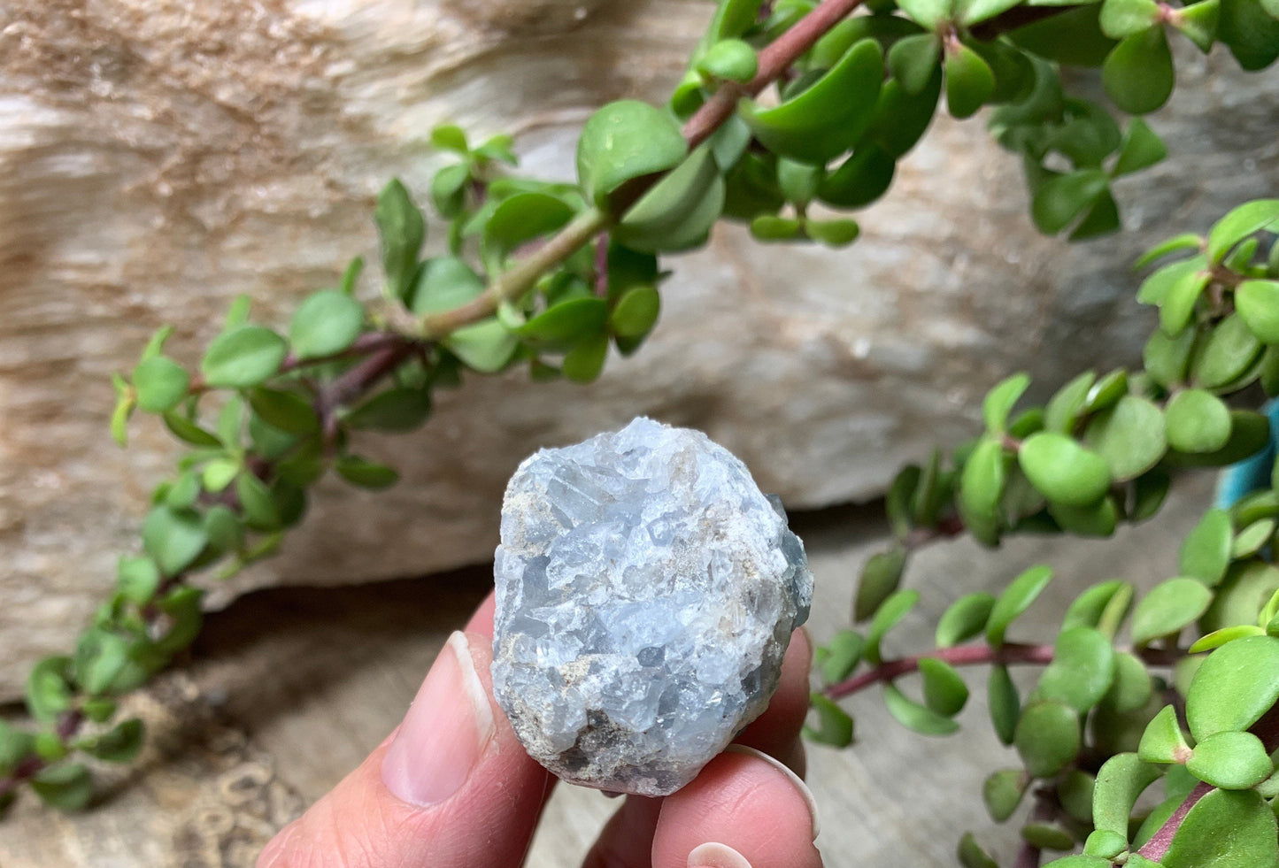 Natural Celestite Crystal      CRY-0609