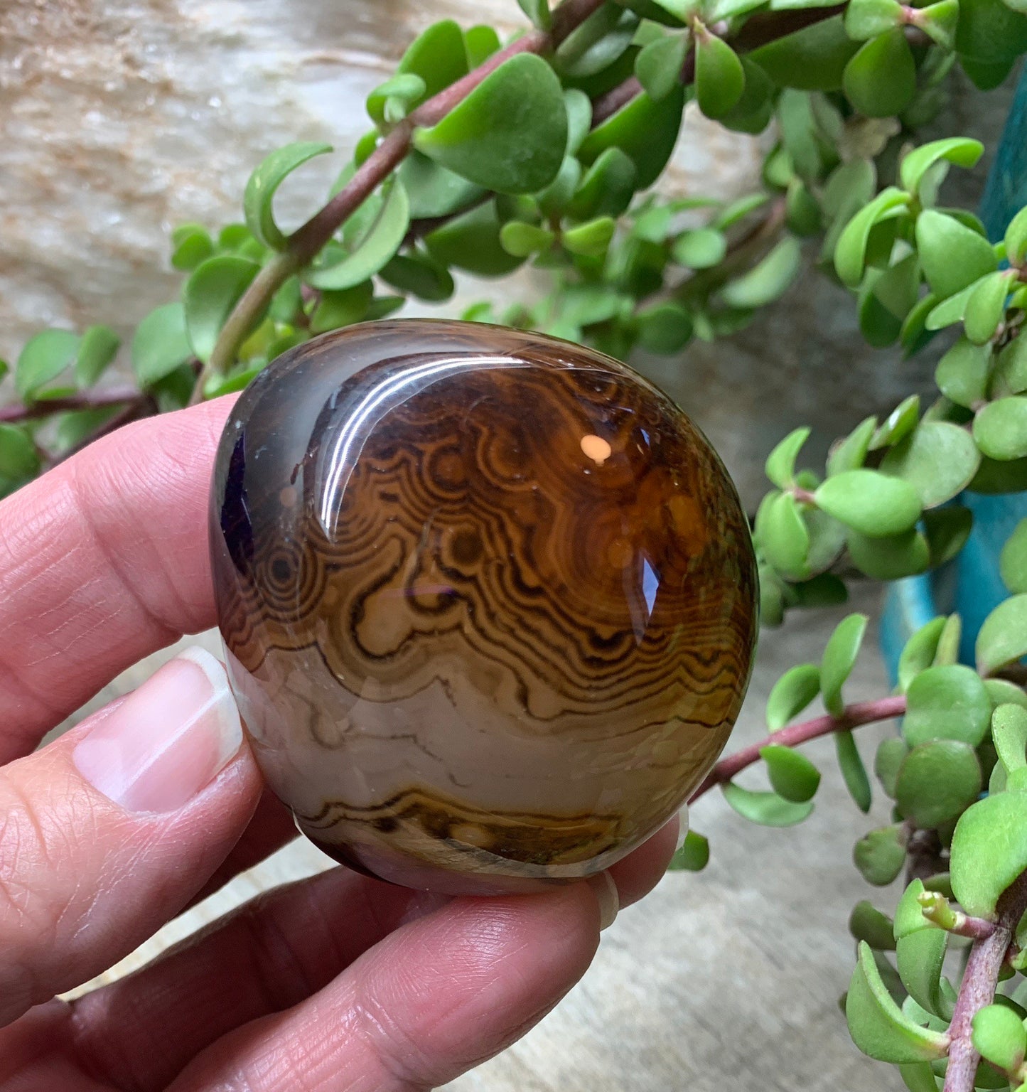 Persian Agate      PLM-0008