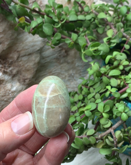 Green Moonstone Palm Stone PLM-0051