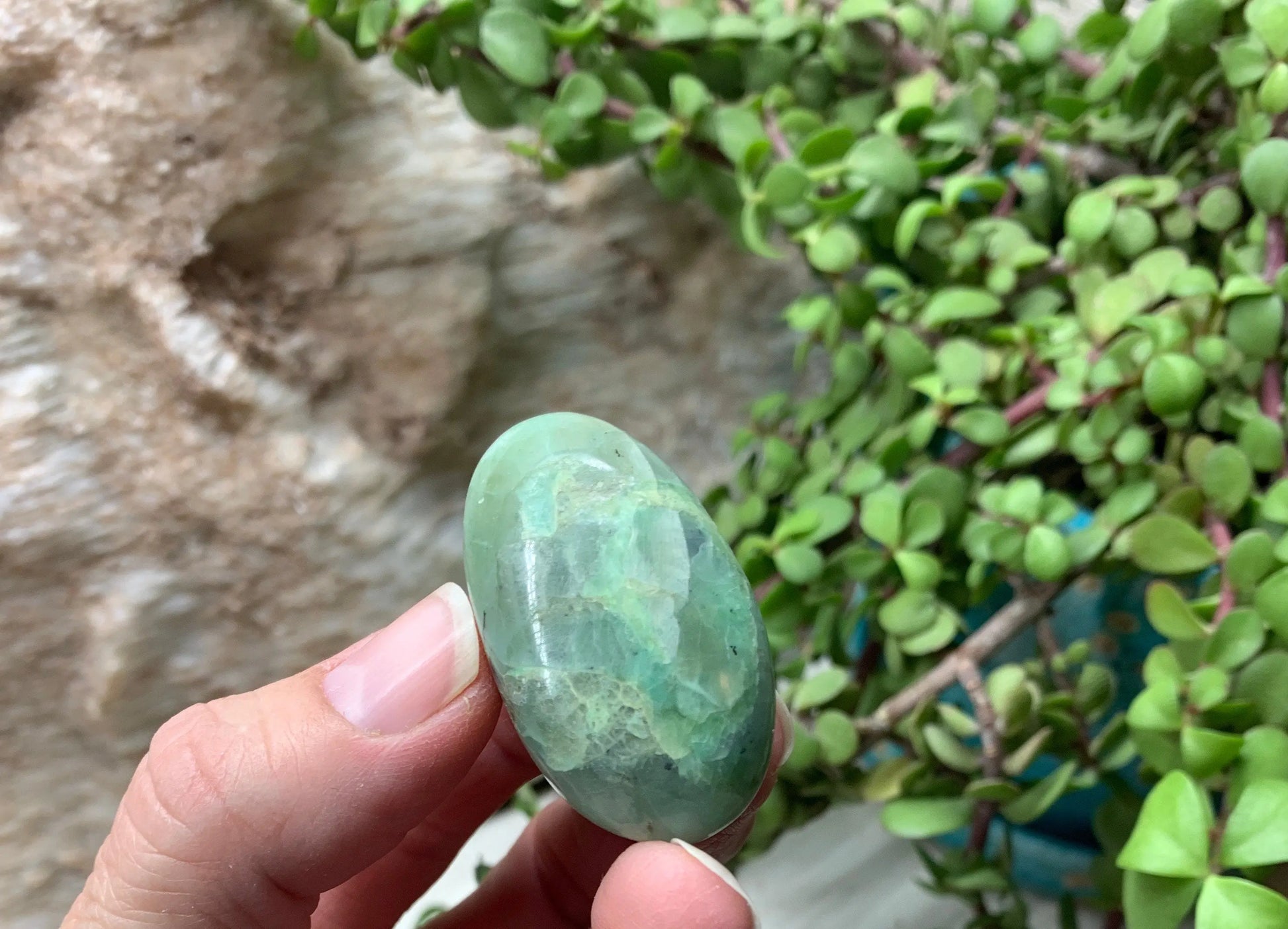 Green Moonstone Palm Stone PLM-0047 Shop Wholesale Crystals
