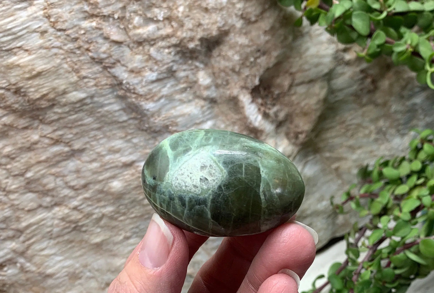 Green Moonstone Palm Stone PLM-0033 Shop Wholesale Crystals