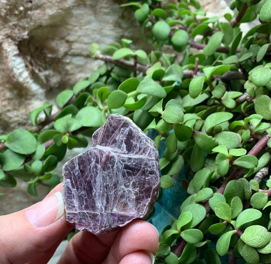 Lepidolite  CRY-0665 Shop Wholesale Crystals