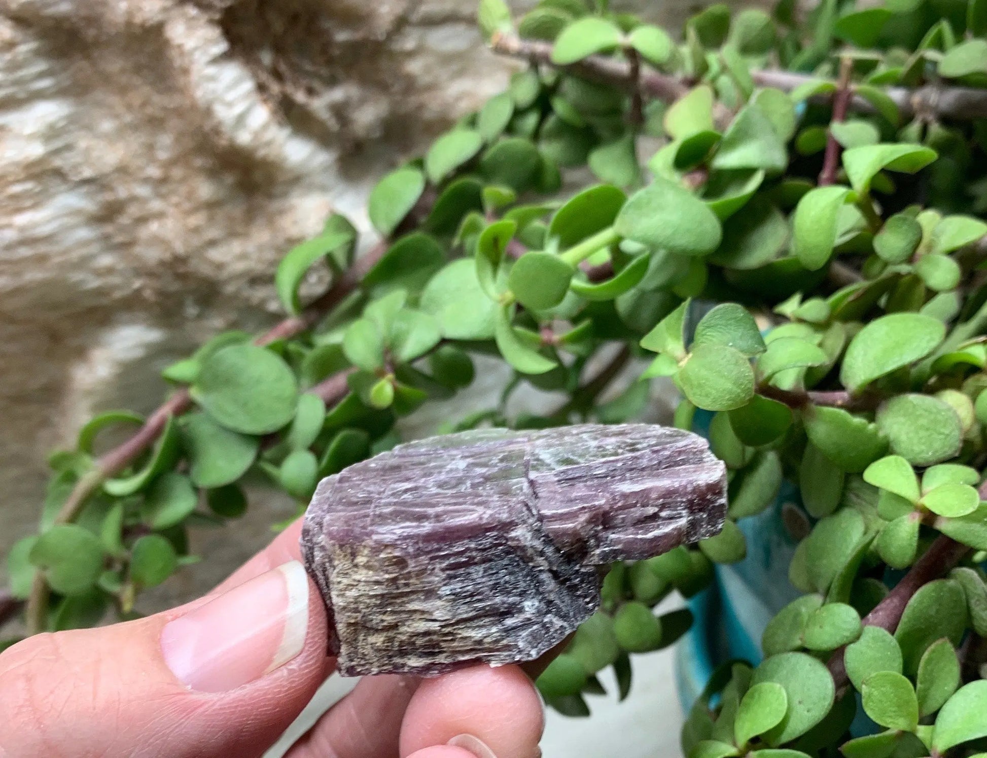 Lepidolite  CRY-0665 Shop Wholesale Crystals