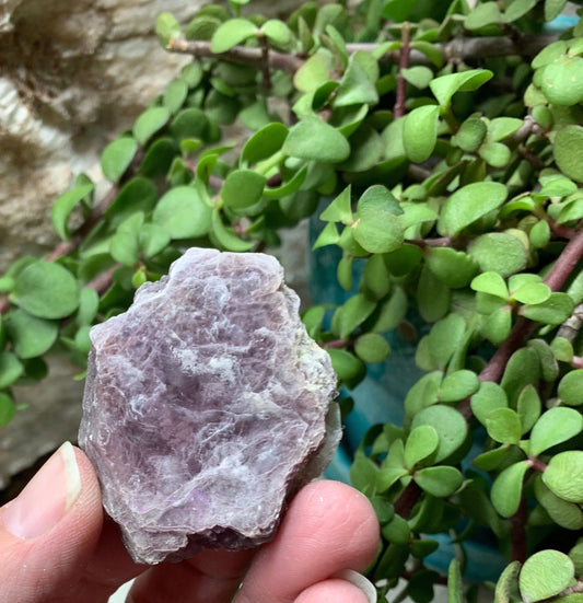 Lepidolite  CRY-0664 Shop Wholesale Crystals