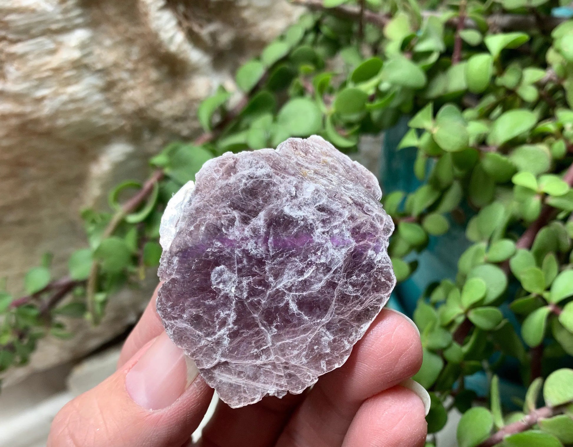Lepidolite  CRY-0664 Shop Wholesale Crystals