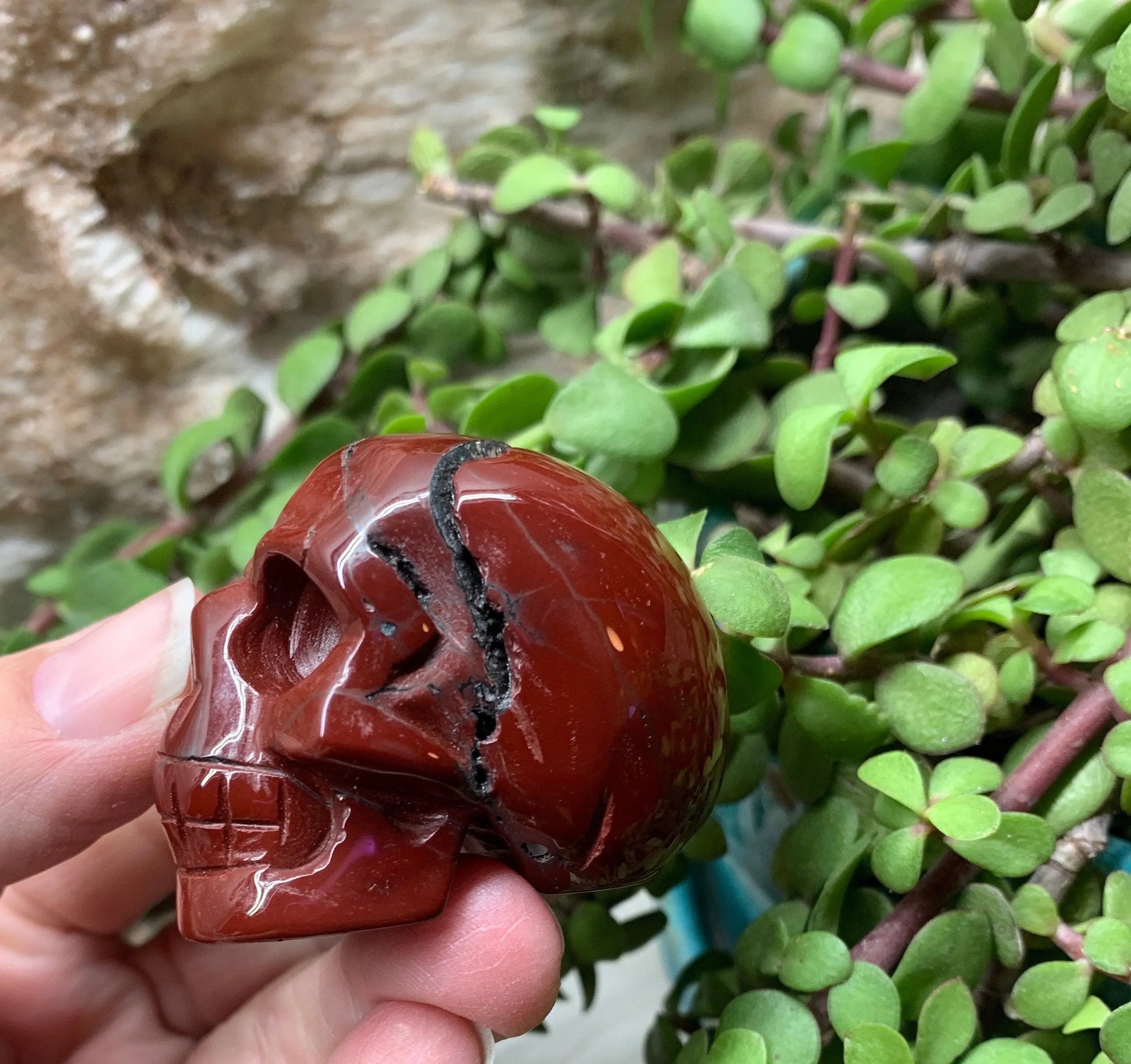 Red Opal Carved Skull  FIG-0058 Shop Wholesale Crystals