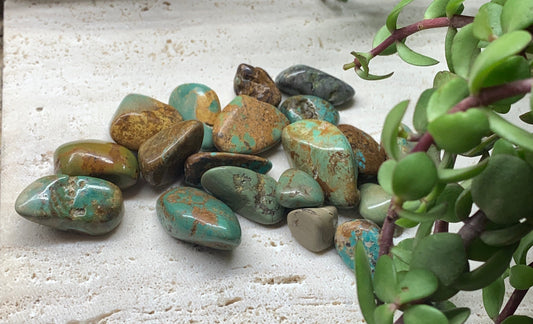 Natural Turquoise Tumble Stone 0646