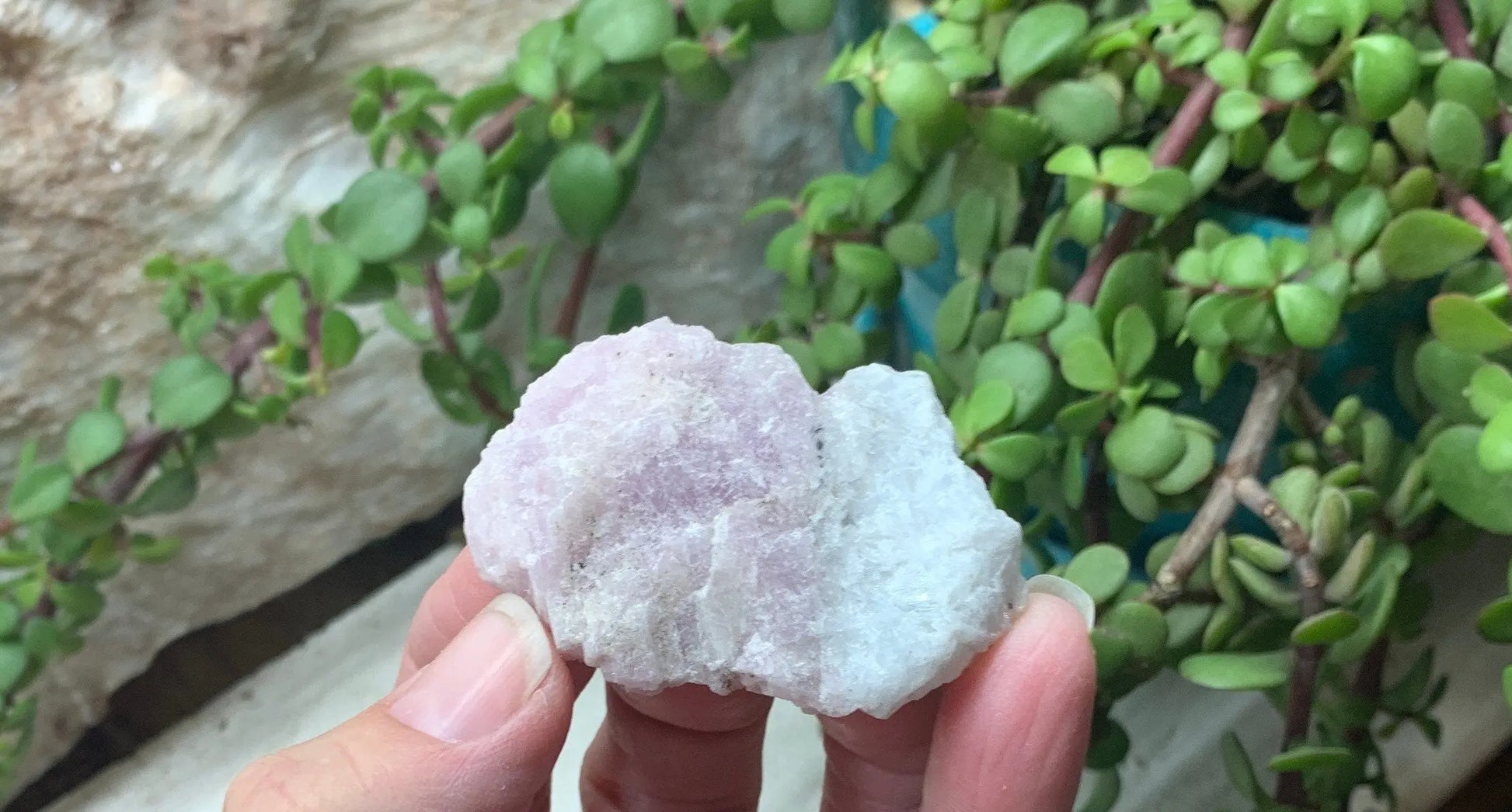 Kunzite Raw Stone RAW -0012 Shop Wholesale Crystals