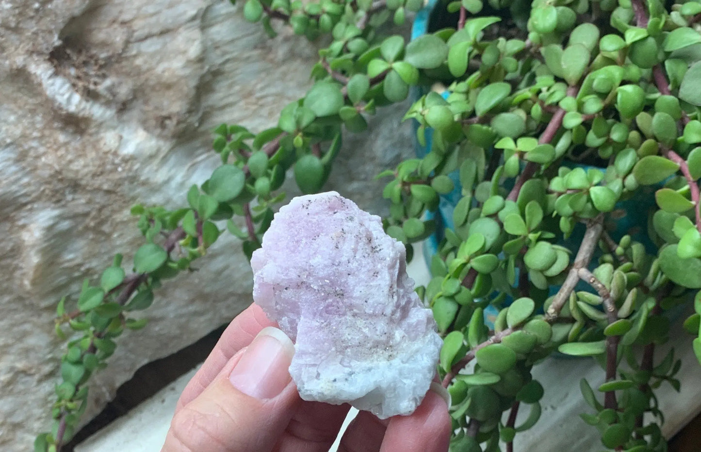 Kunzite Raw Stone RAW -0012 Shop Wholesale Crystals