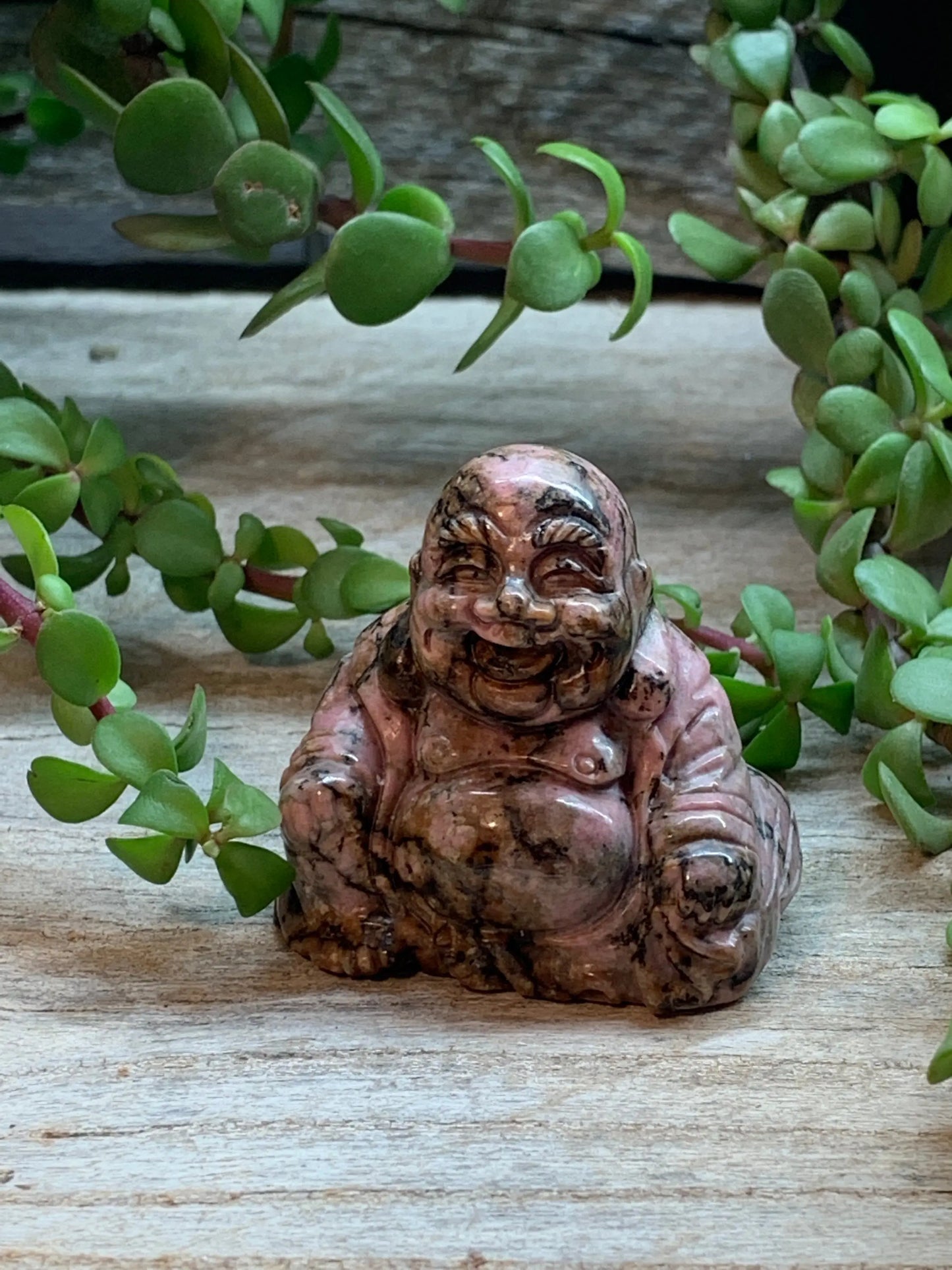 Rhodonite Happy Buddha FIG-0078 Shop Wholesale Crystals