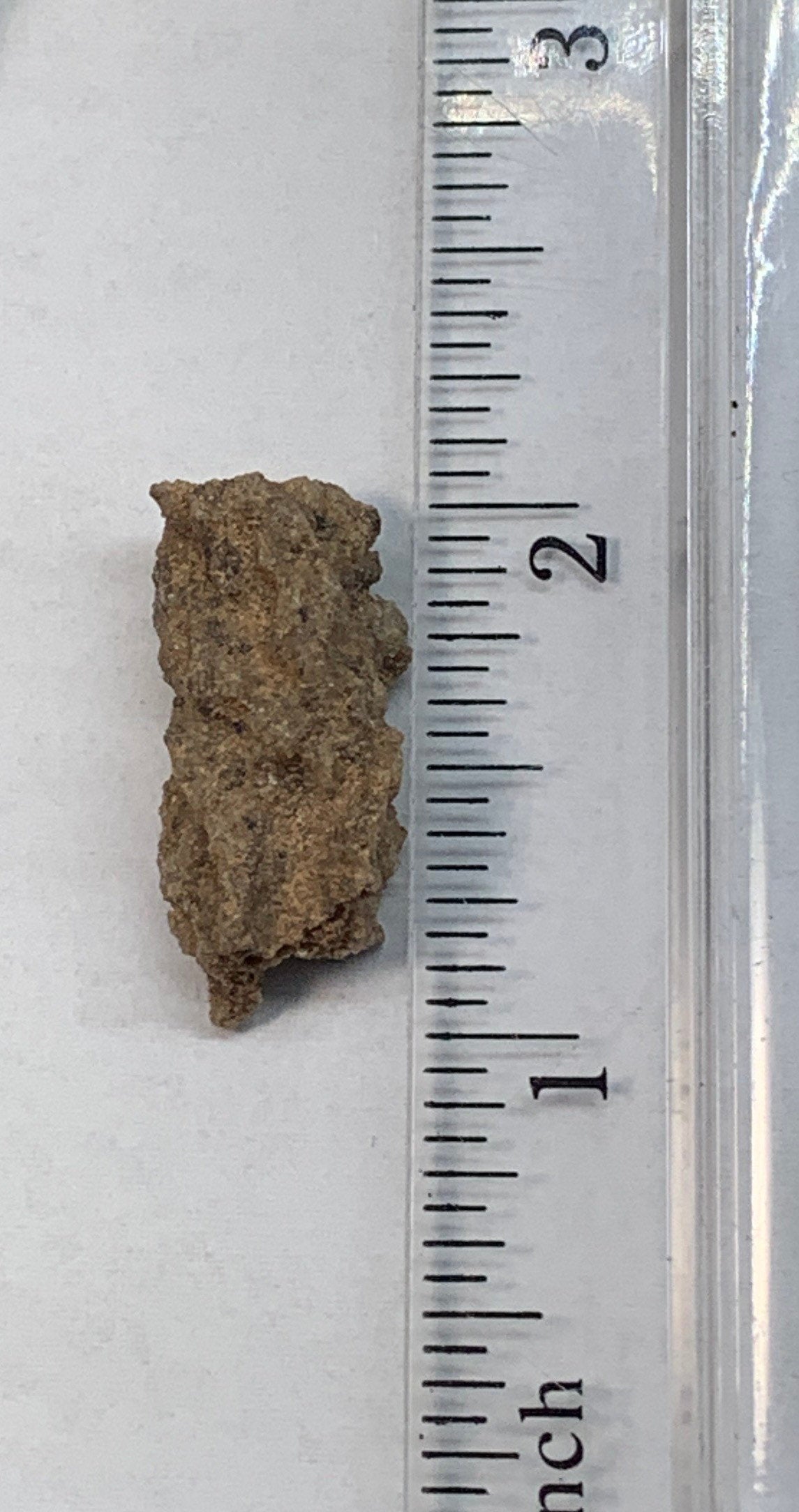 Fulgenite Lightning Stone  RAW-0255