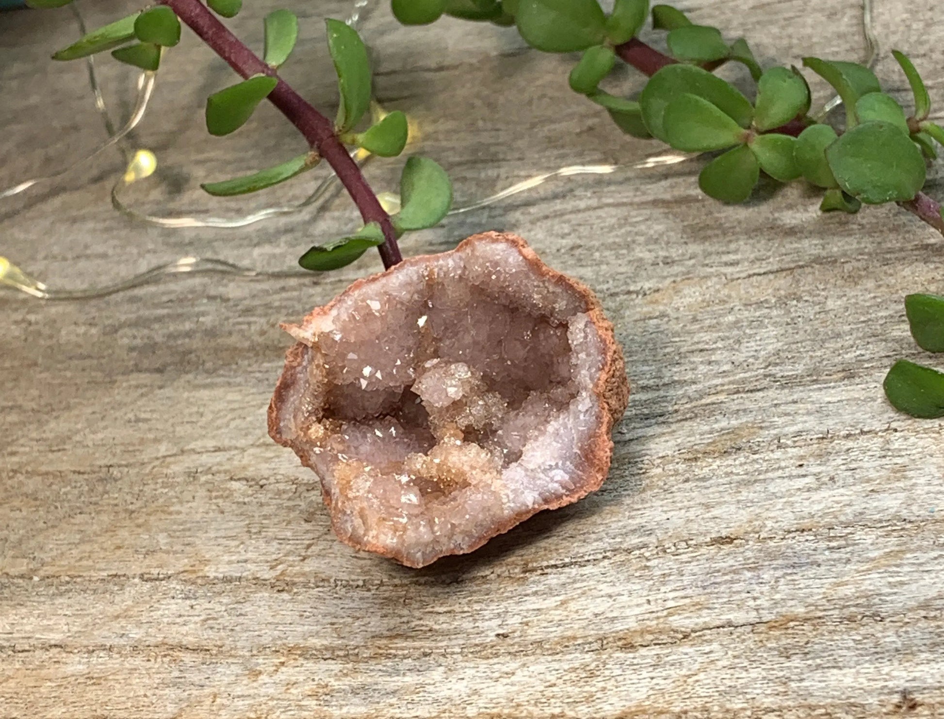 Pink Amethyst Geode  CRY-0737 Shop Wholesale Crystals