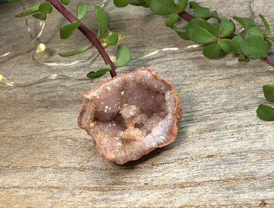 Pink Amethyst Geode  CRY-0737 Shop Wholesale Crystals
