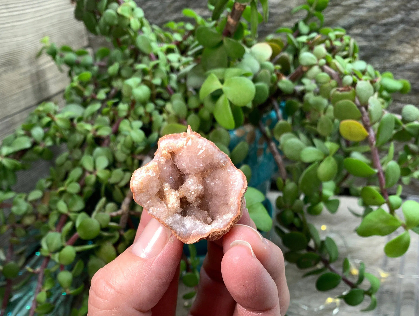 Pink Amethyst Geode  CRY-0737 Shop Wholesale Crystals