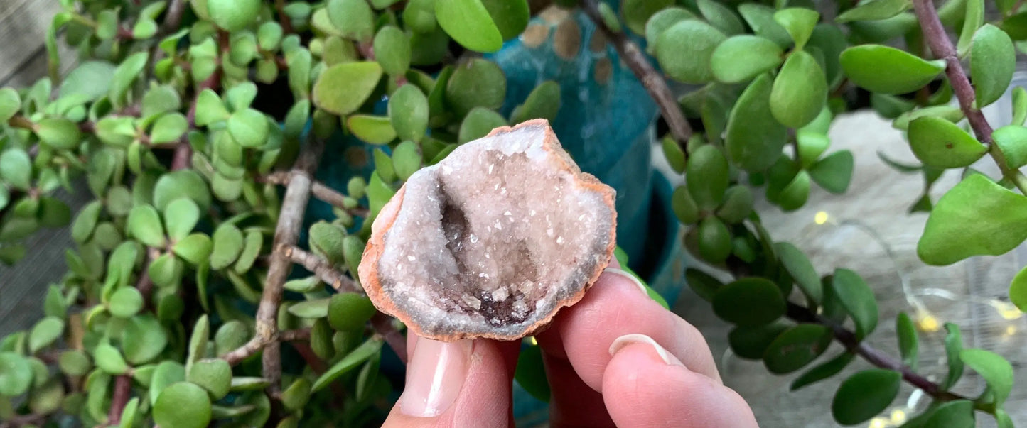 Pink Amethyst Geode  CRY-0739 Shop Wholesale Crystals