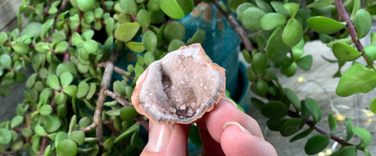 Pink Amethyst Geode  CRY-0739 Shop Wholesale Crystals