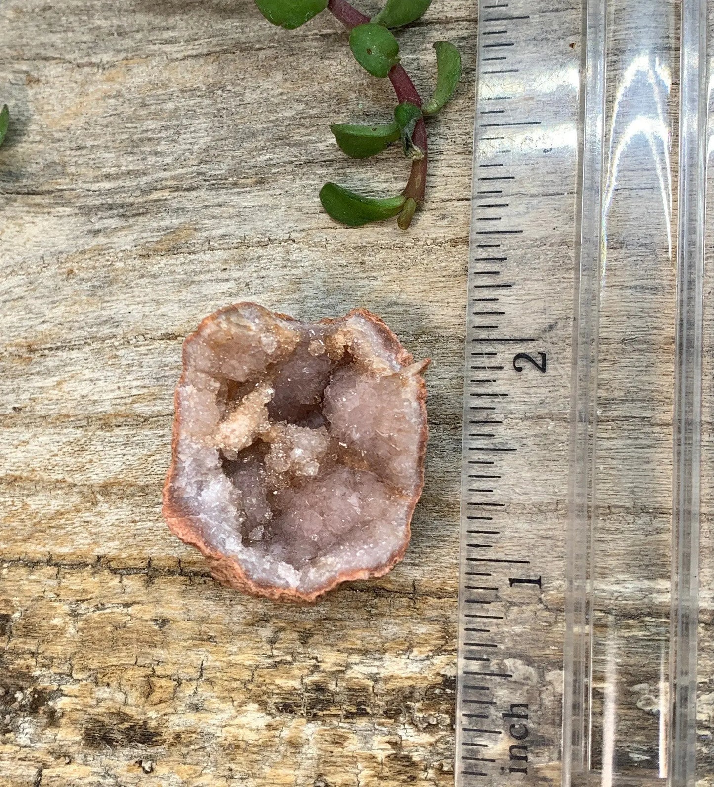 Pink Amethyst Geode  CRY-0737 Shop Wholesale Crystals