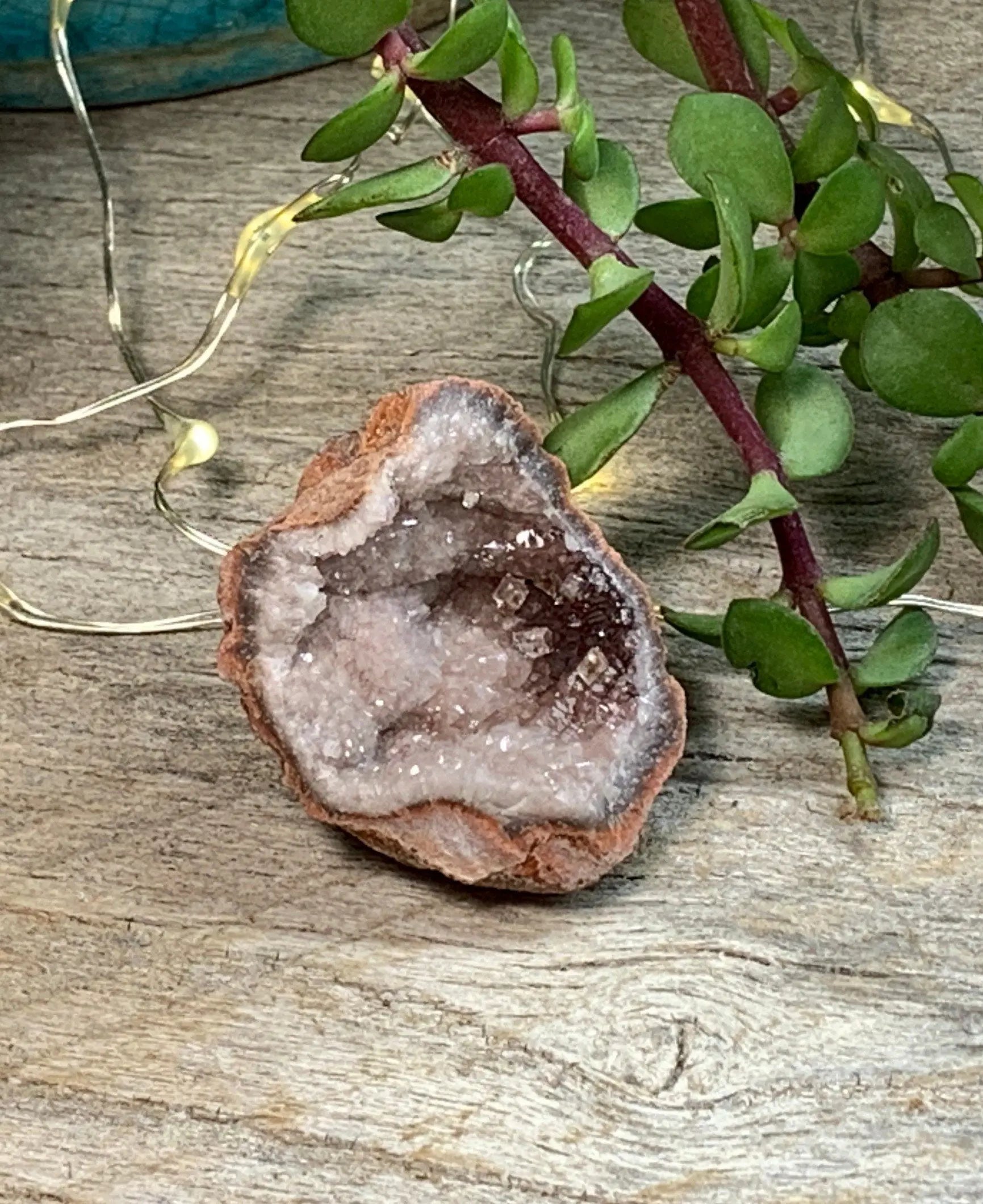Pink Amethyst Geode  CRY-0739 Shop Wholesale Crystals