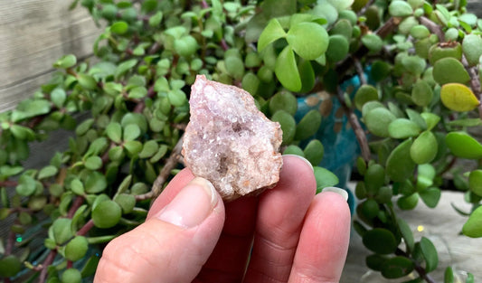 Pink Amethyst Geode  CRY-0735 Shop Wholesale Crystals