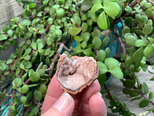 Pink Amethyst Geode  CRY-0734 Shop Wholesale Crystals