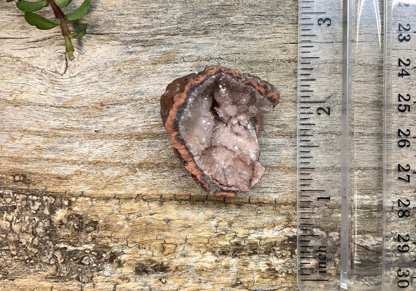 Pink Amethyst Geode  CRY-0734 Shop Wholesale Crystals