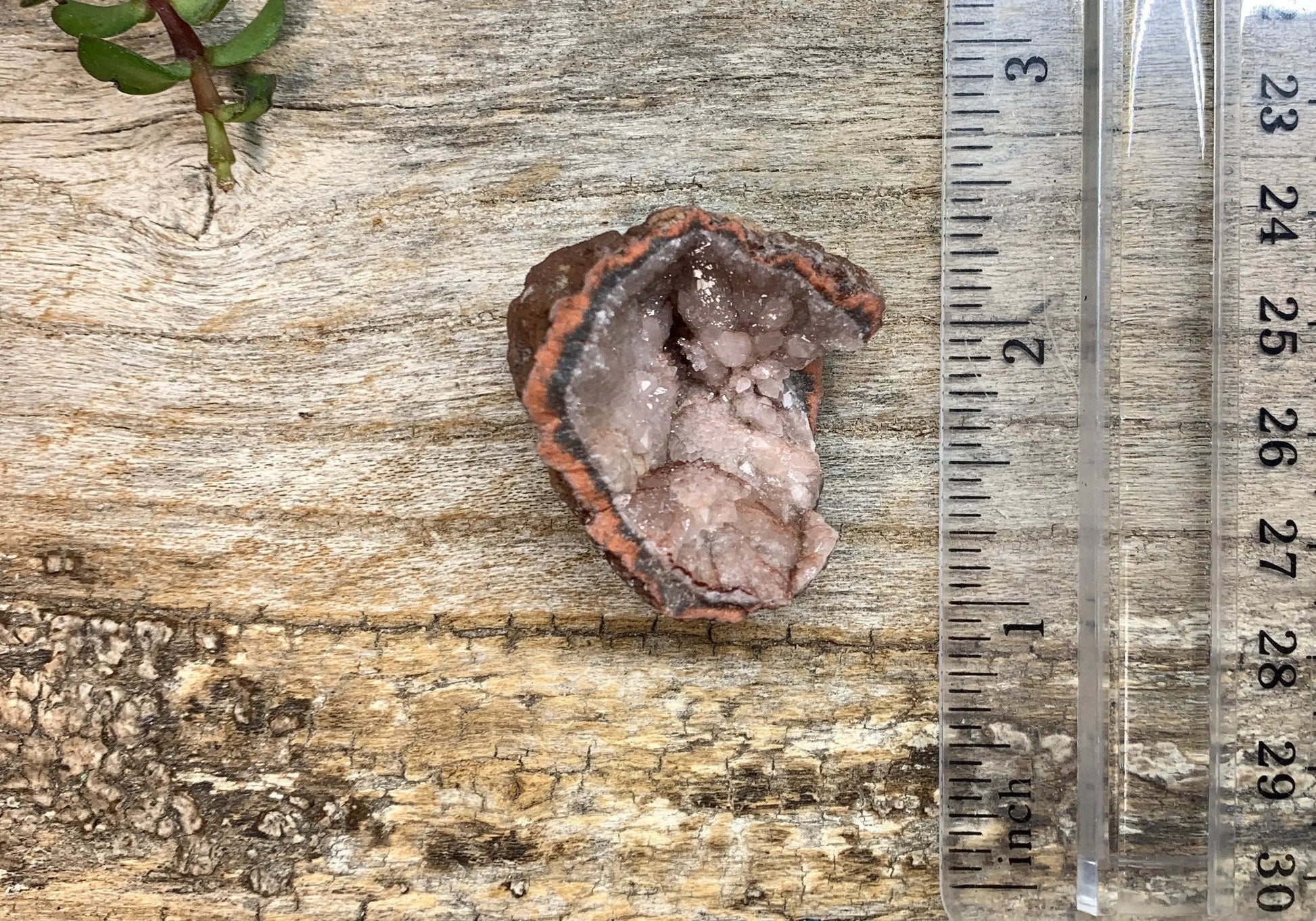 Pink Amethyst Geode  CRY-0734 Shop Wholesale Crystals