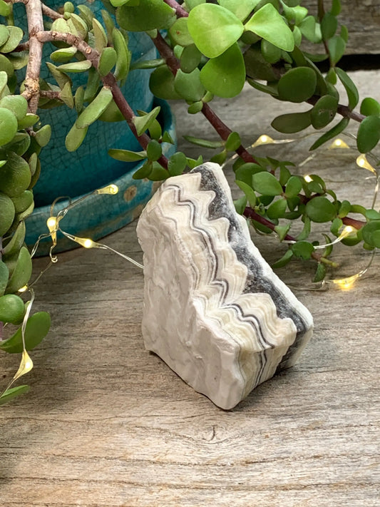Raw Zebra Stone RAW-0316 Shop Wholesale Crystals