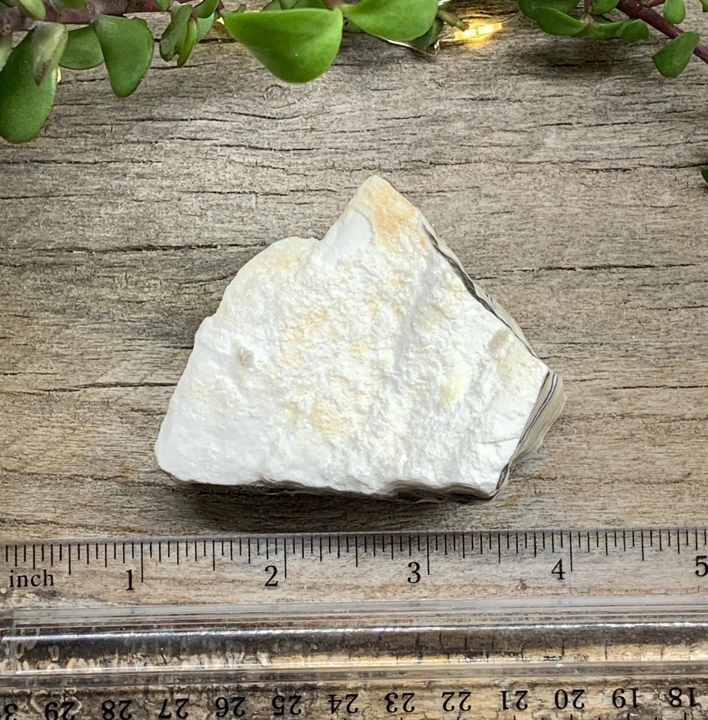 Raw Zebra Stone RAW-0316 Shop Wholesale Crystals