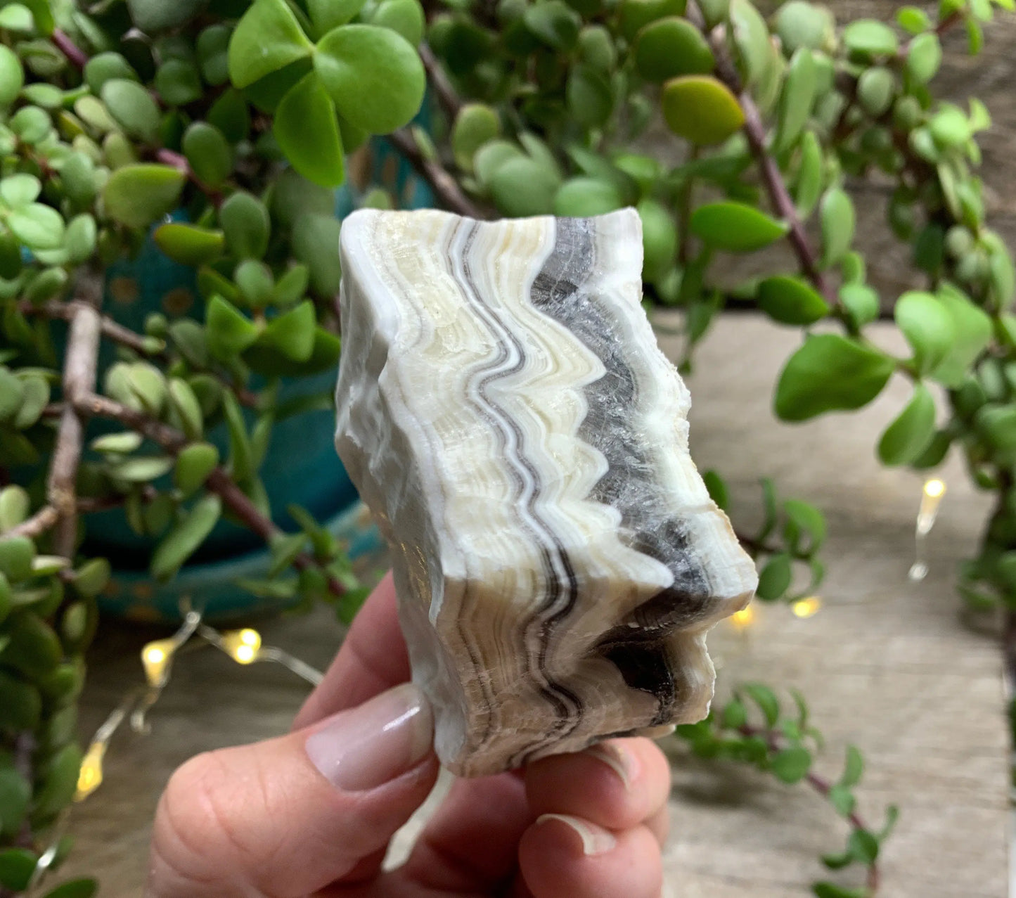 Raw Zebra Stone RAW-0316 Shop Wholesale Crystals