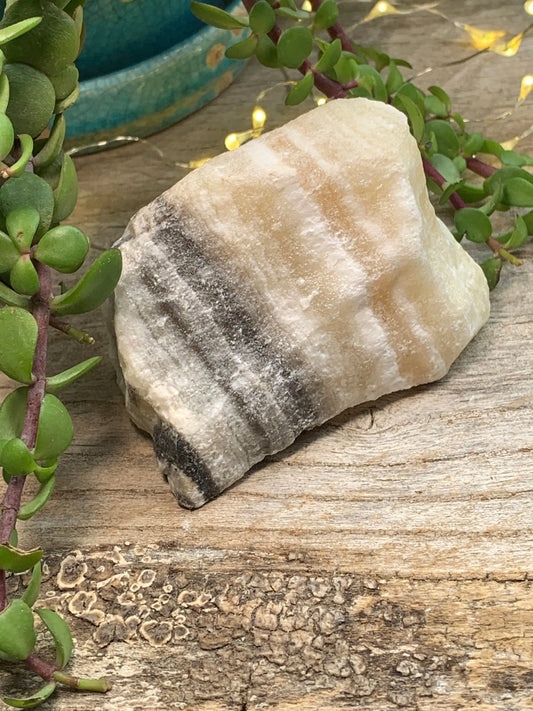Raw Zebra Stone RAW-0322 Shop Wholesale Crystals