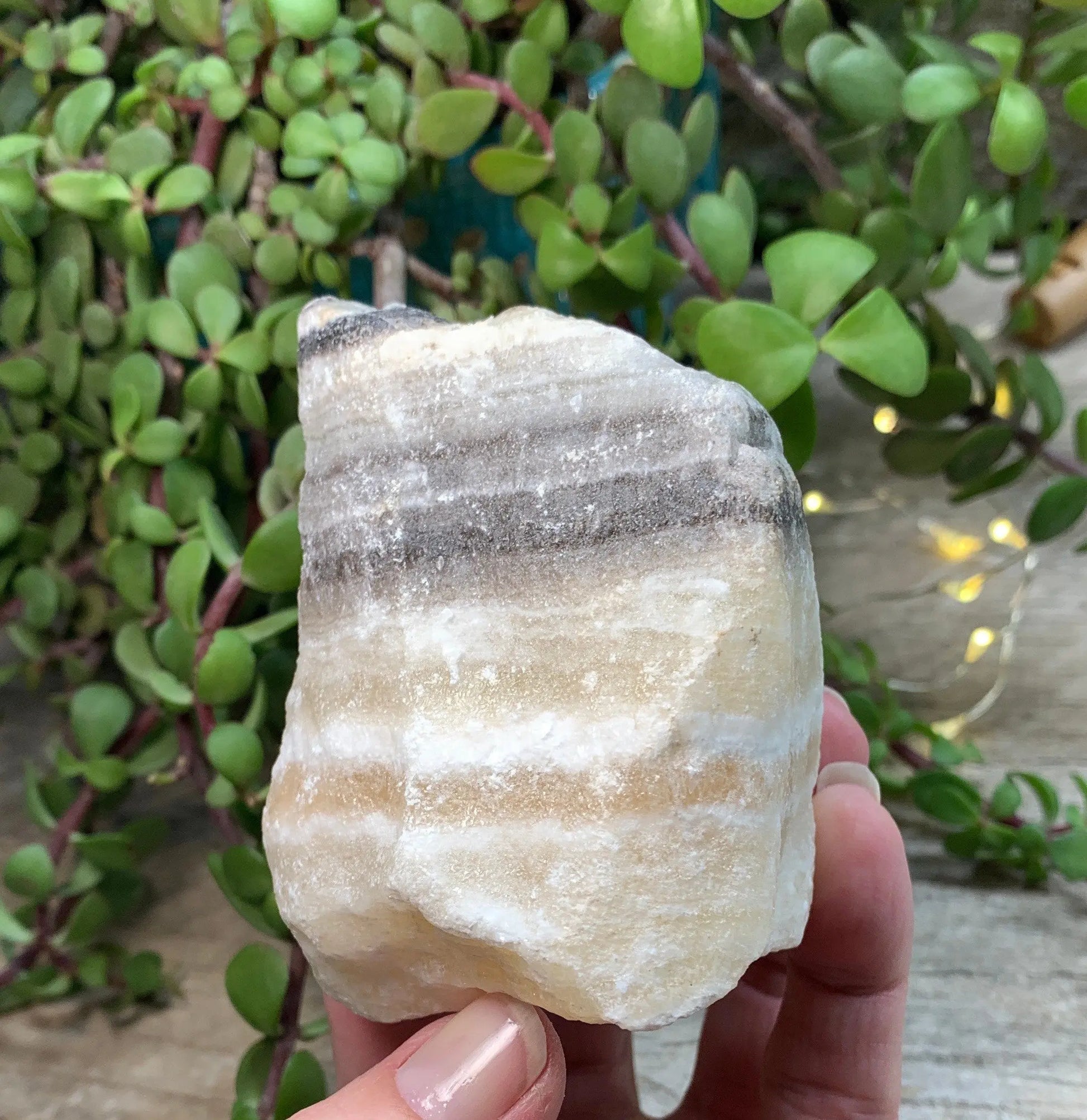 Raw Zebra Stone RAW-0322 Shop Wholesale Crystals