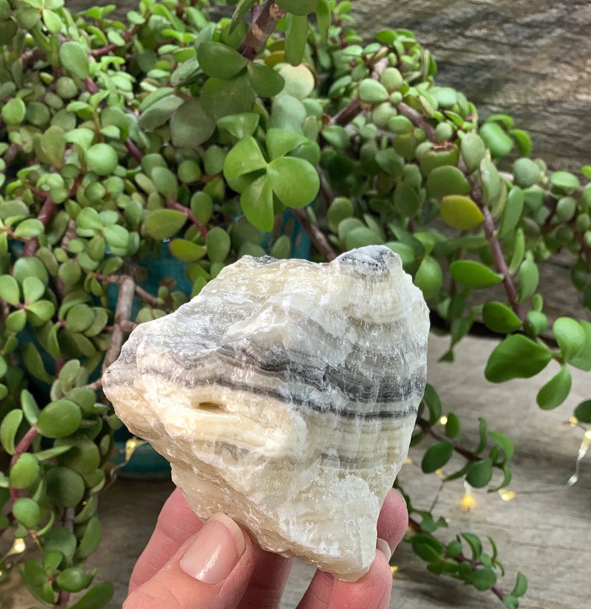Raw Zebra Stone RAW-0325 Shop Wholesale Crystals