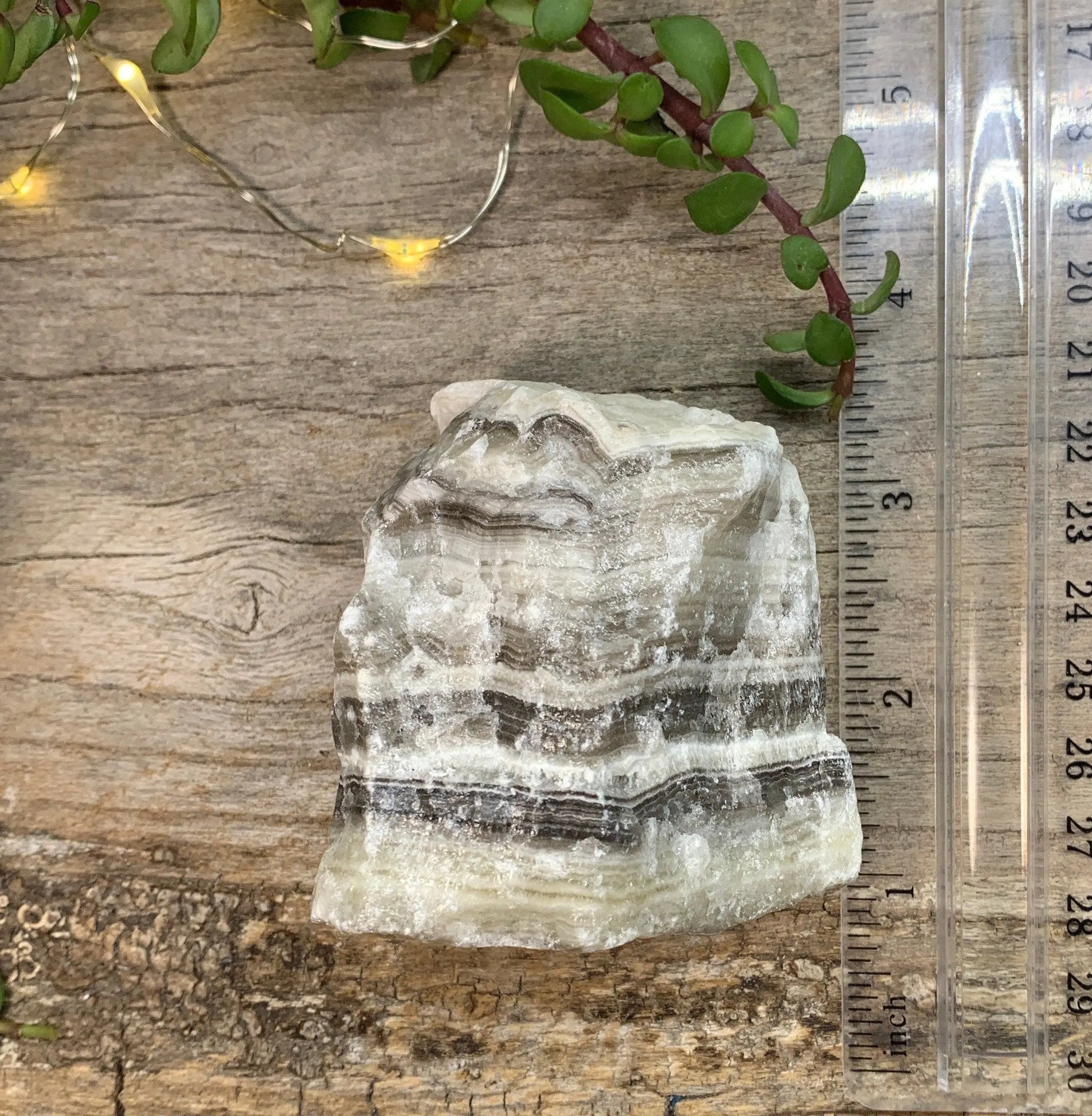 Raw Zebra Stone RAW-0311 Shop Wholesale Crystals