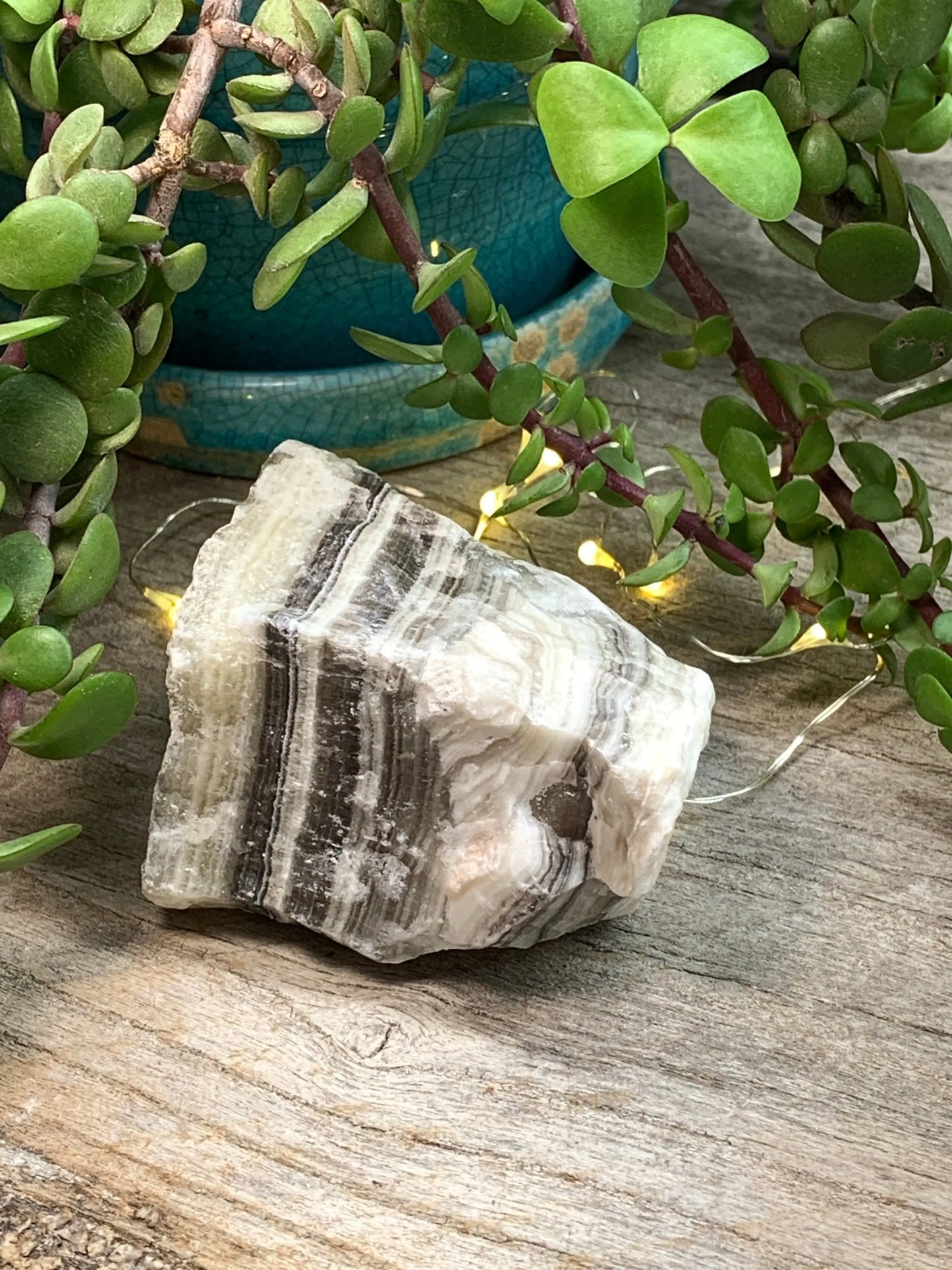 Raw Zebra Stone RAW-0311 Shop Wholesale Crystals