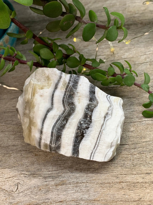 Raw Zebra Stone RAW-0309 Shop Wholesale Crystals